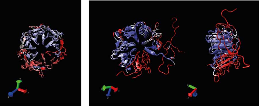 Evolutionary Arms Race A Battle Between Hiv And Ancient Herc Genes