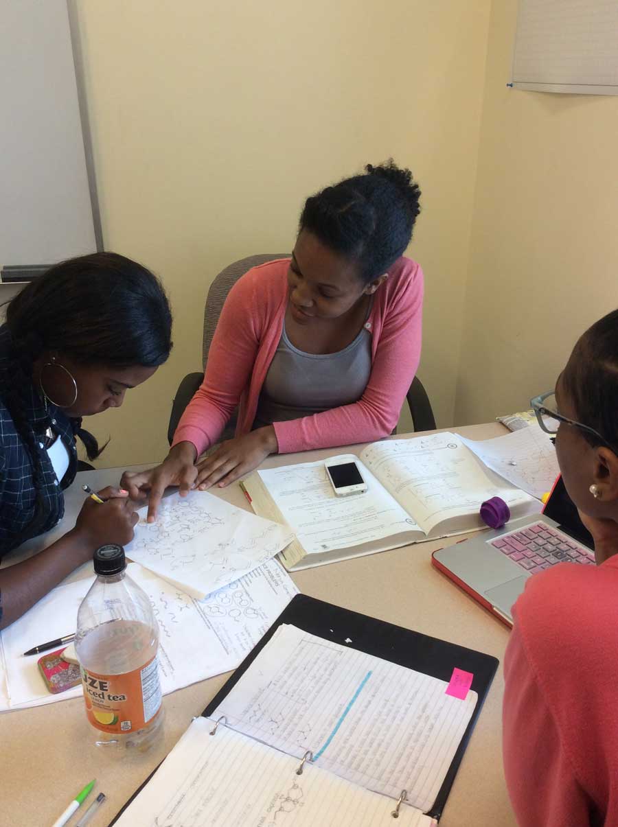Inquiry learning: Empowering African American women in STEM - Research ...