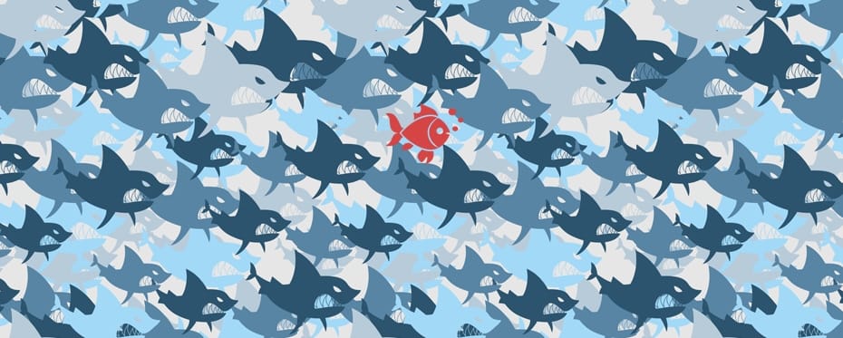 Research Outreach Predatory Publishing article 2 by Roger Watson