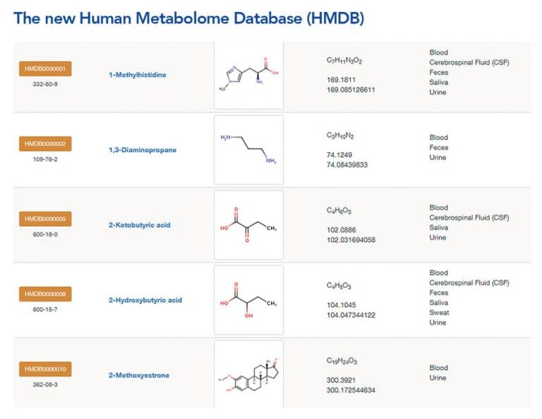 Using metabolomics and artificial intelligence to explore the universe ...