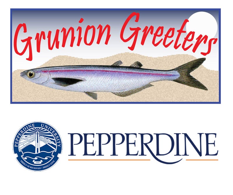 The great grunion run Monitoring grunion runs to inform conservation