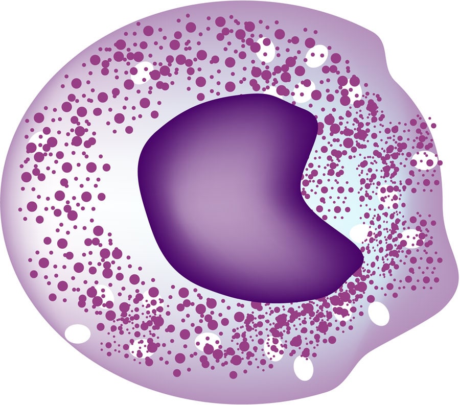 Infectious bronchitis virus affects energy production - Research Outreach