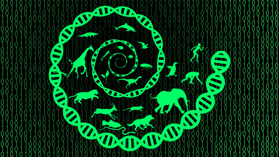 Metabiology and the complexity of natural evolution - Research Outreach