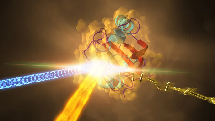 Free Electron Lasers: The Biggest and Brightest Light Sources
