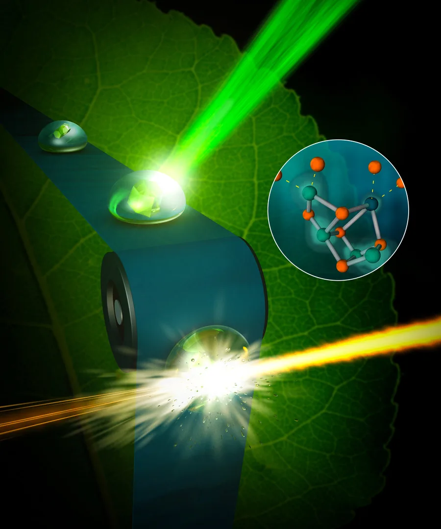 Free Electron Lasers: The Biggest and Brightest Light Sources