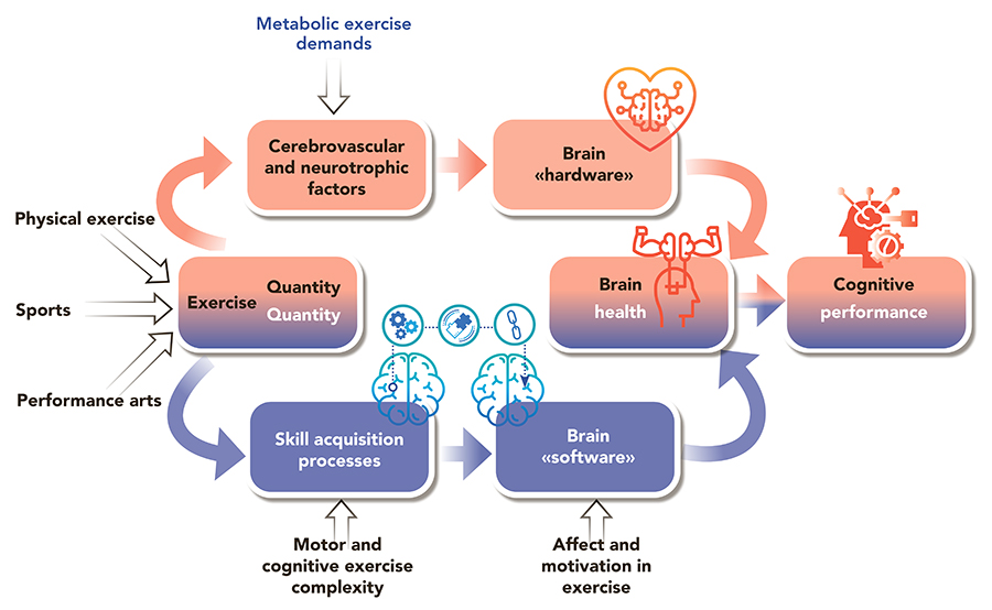 What Is Mental Fitness? A How-To for Exercising Your Brain