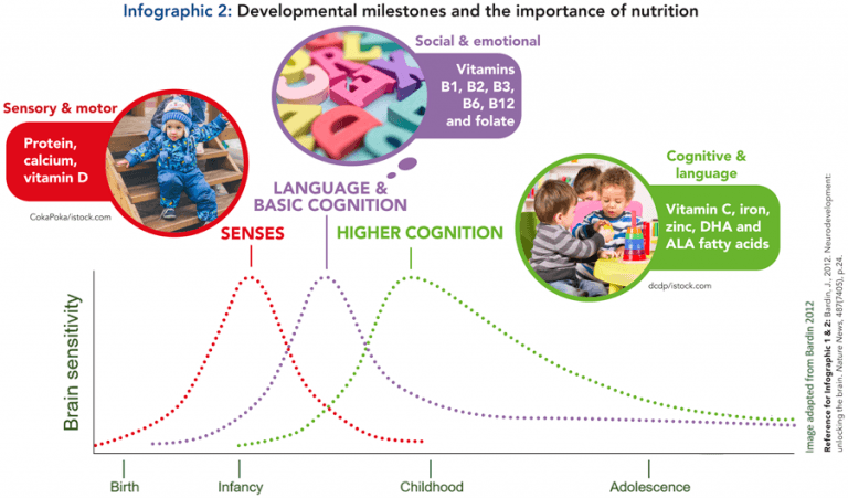How Does Nutrition Underpin Developmental Milestones In Toddlers How Does Nutrition Underpin Developmental Milestones In Toddlers