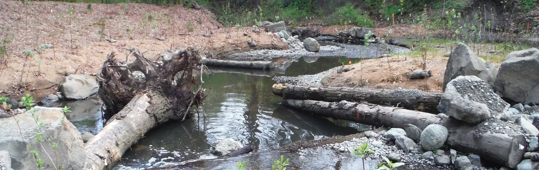 Streambed Shape Changing Earths Surface
