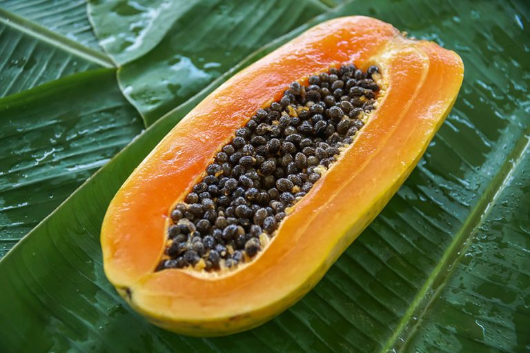 The anti-ageing and anti-tumour effects of Fermented Papaya Preparation ...