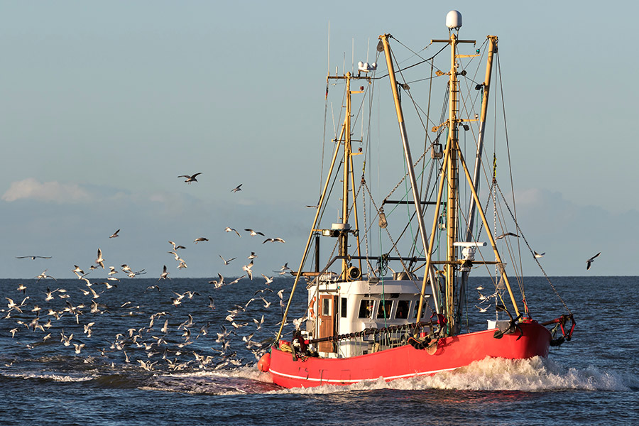 The fish market in Switzerland requires a large proportion to be imported.