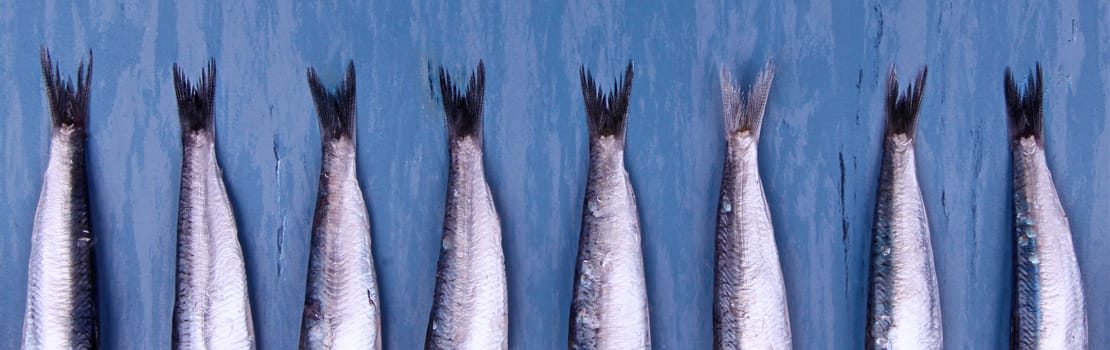 (Un)sustainability in the Swiss fish market - Research Outreach