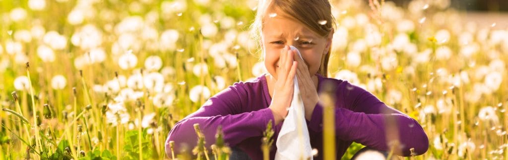 surviving the pollen season - hayfever